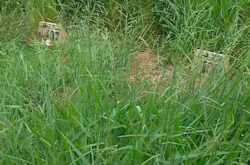  Mato cobre túmulos em cemitério de Sorocaba