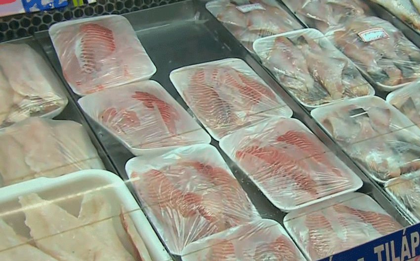  Vendas de peixes devem aumentar em 30% durante a quaresma