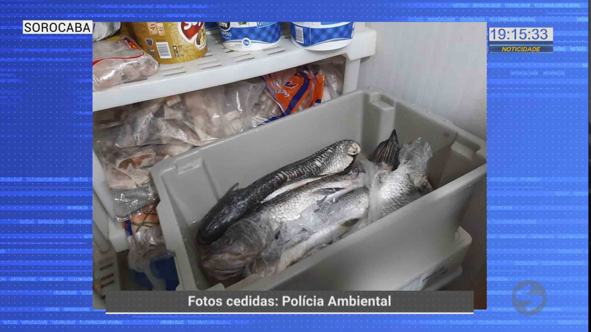 Peixes são apreendidos em restaurante de Sorocaba