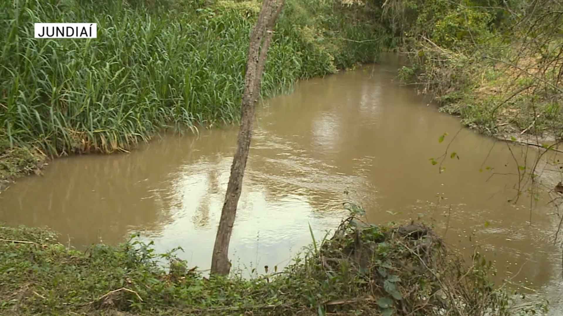 Programa recupera margens de rios em Jundiaí