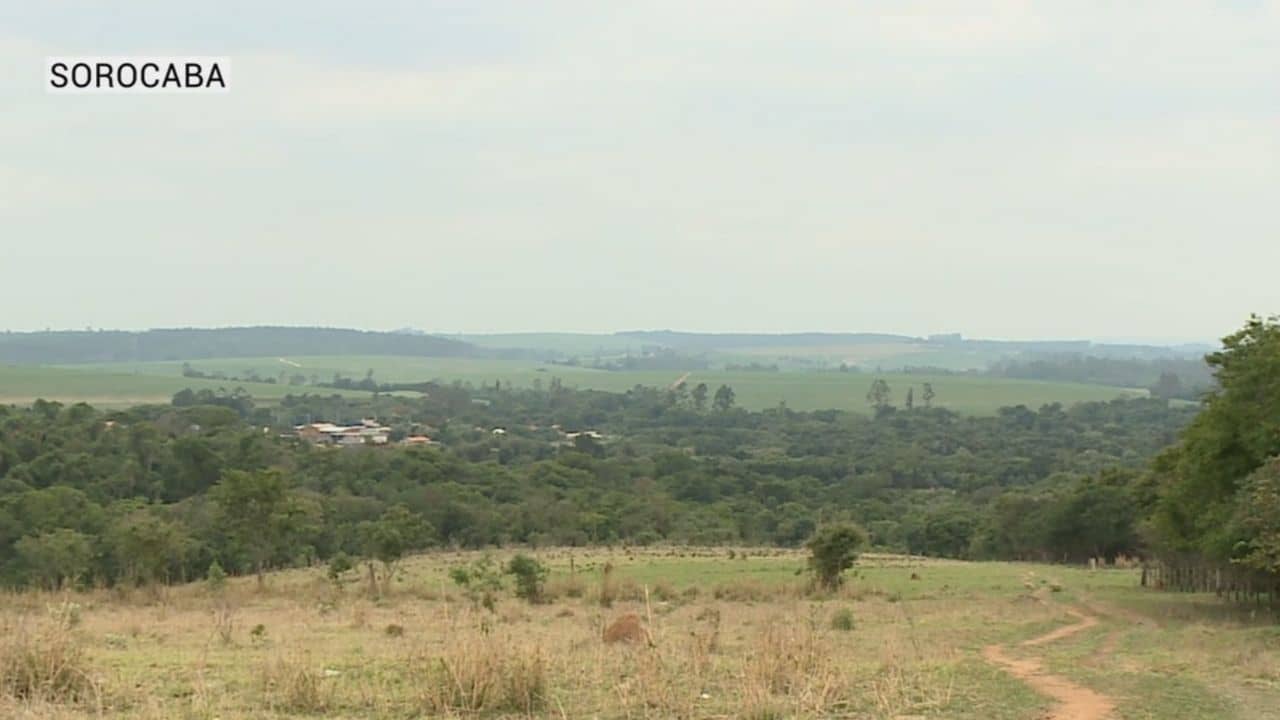 Cemitério clandestino é encontrado em Sorocaba