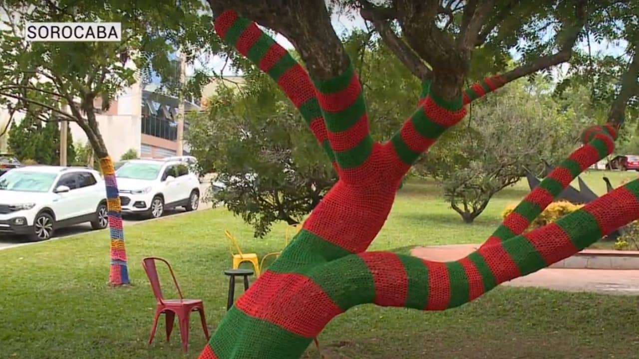 Árvores são decoradas com crochê em Sorocaba