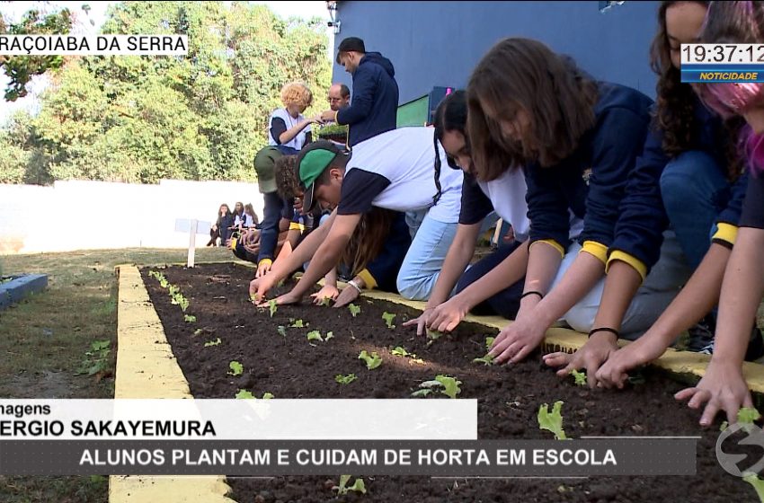 Alunos plantam e cuidam de horta em escola de Araçoiaba da Serra