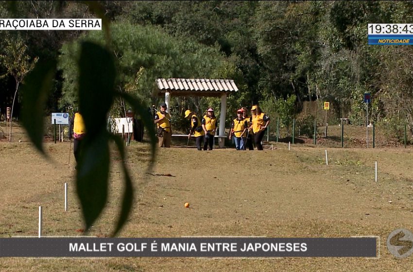  Mallet Golf é mania entre descendentes de japoneses em Araçoiaba da Serra