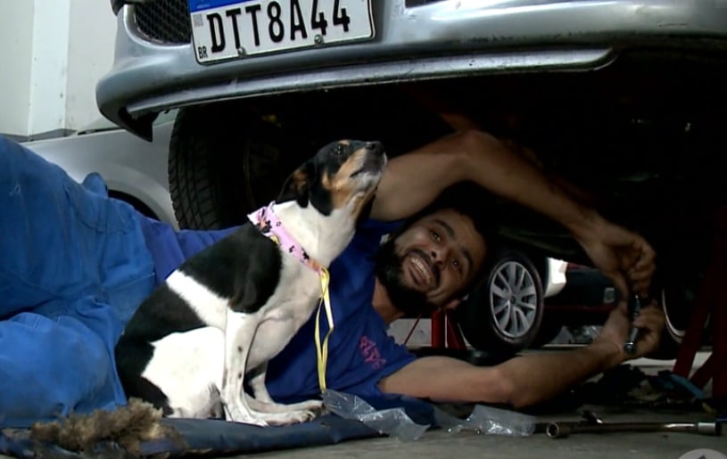 Pet de mecânico de Jundiaí viraliza nas redes sociais