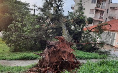 Temporal causa estragos em toda a região