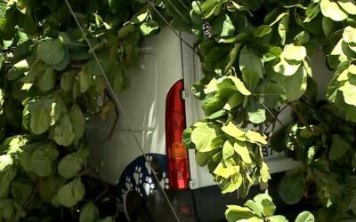 Tempestade causa prejuízo para comerciantes e moradores de Sorocaba