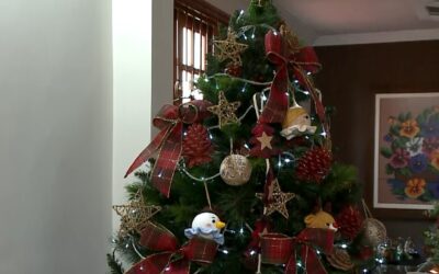 Cuidados com instalação elétrica evitam problemas com iluminação de Natal