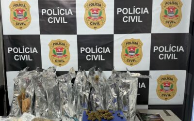 Operação da Polícia Civil em Votorantim apreende 14 kg de skunk