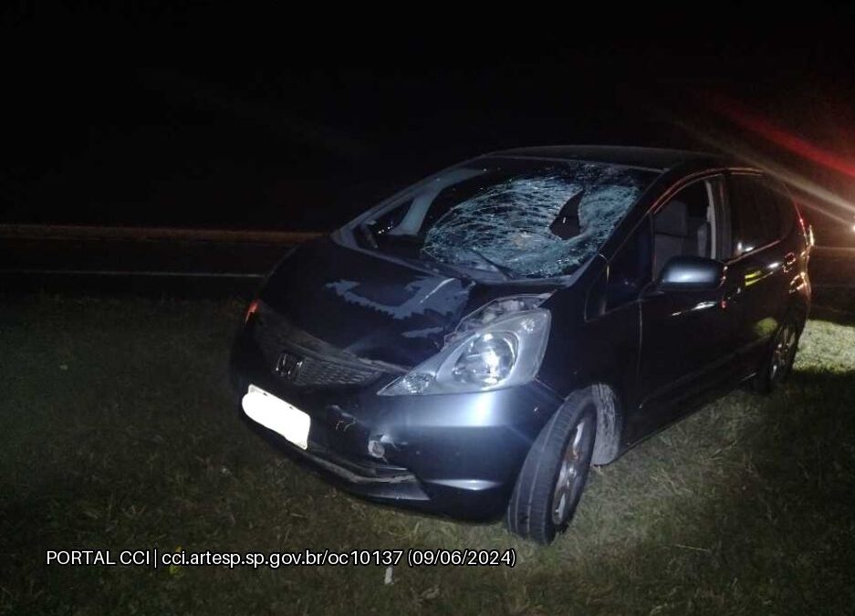 Pedestre morre atropelado na Rodovia Castello Branco em Boituva