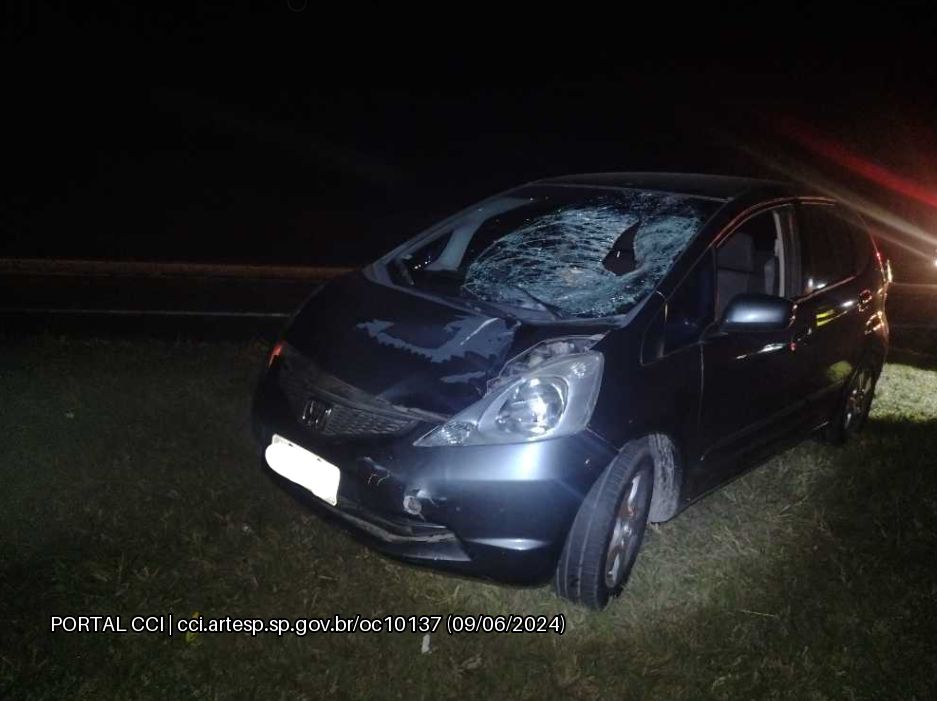 Pedestre morre atropelado na Rodovia Castello Branco em Boituva