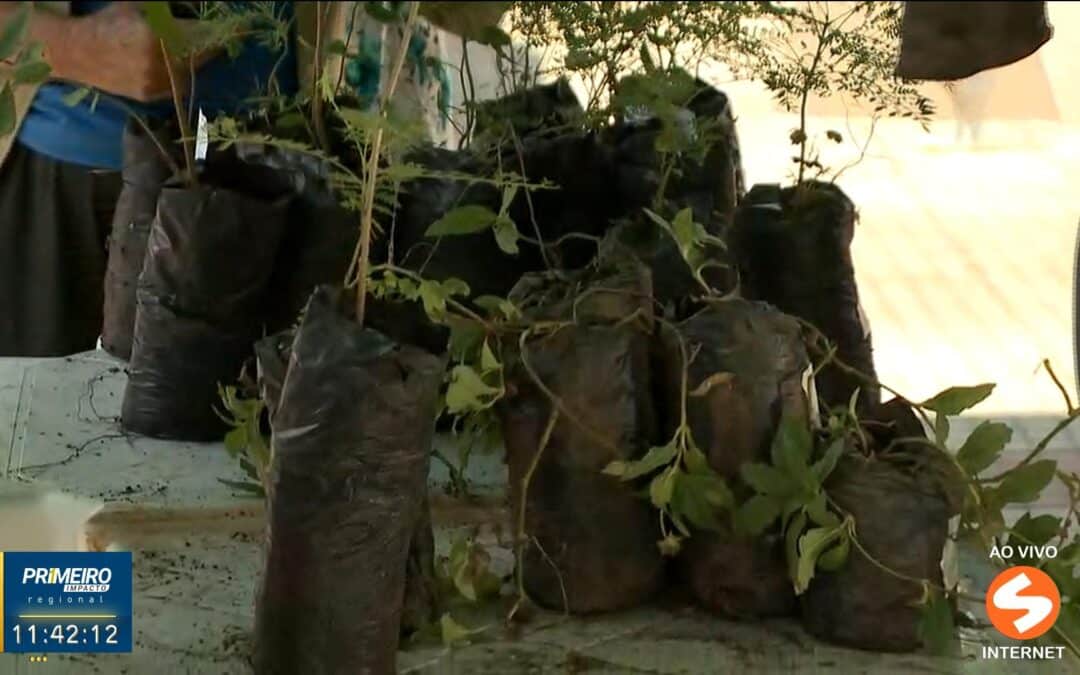 Sorocaba faz ação para celebrar Dia Mundial do Meio Ambiente