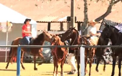 Festa Tropeira de Itapetininga tem apresentações, provas e comida típica