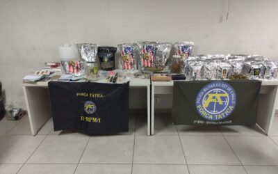 Homem de 27 anos é preso com 12kg de maconha em Jundiaí