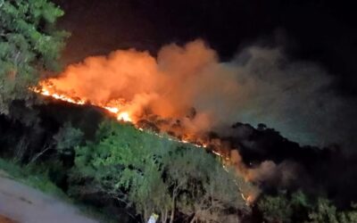 Após uma semana de fogo, incêndio em Alumínio é controlado