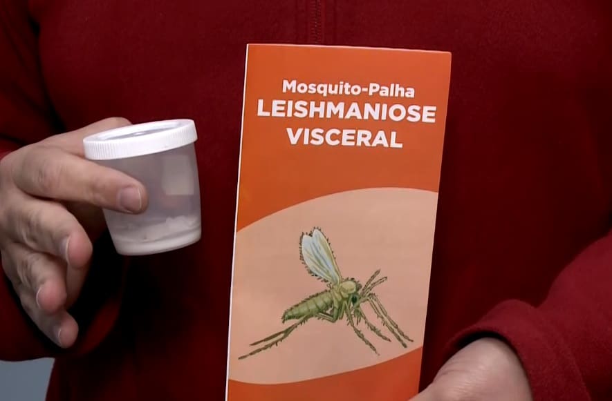 Campanha de conscientização alerta para os riscos da Leishmaniose