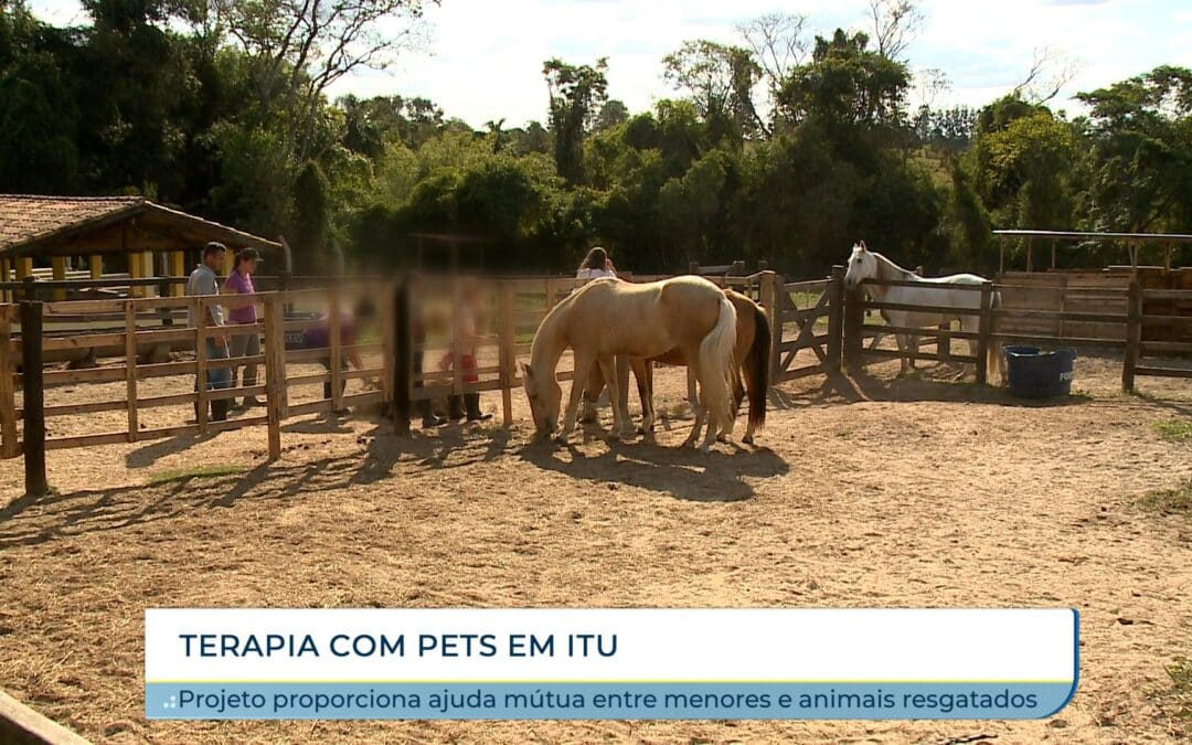 Projeto em Itu promove ajuda mútua entre menores e animais resgatados