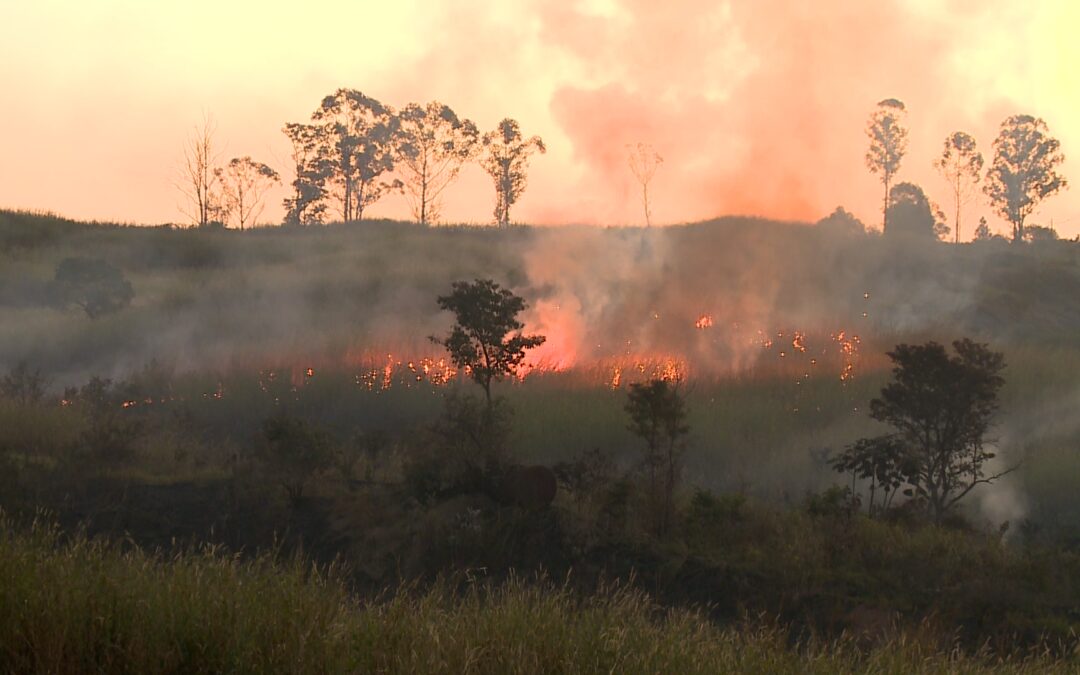 Defesa Civil de SP alerta para risco de incêndios em quase todo o estado