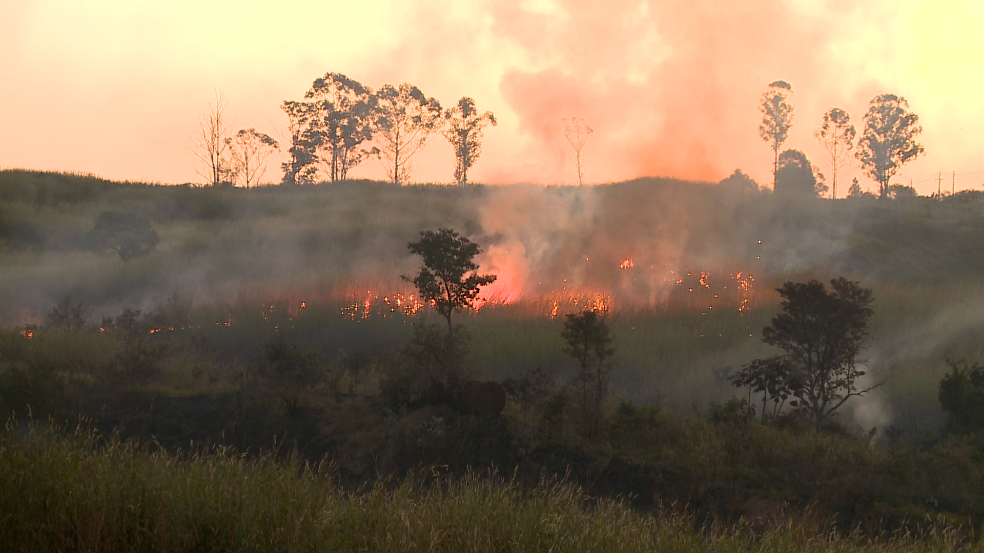 Defesa Civil de SP alerta para risco de incêndios em quase todo o território paulista