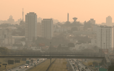 Com novo decreto, fazer queimada em Sorocaba pode gerar multa de até R$ 150 mil