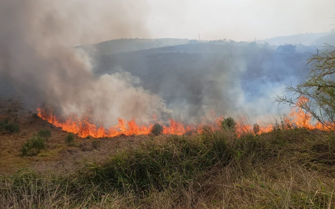 Incêndio atinge área de vegetação rasteira e consome 4 hectares em Alumínio