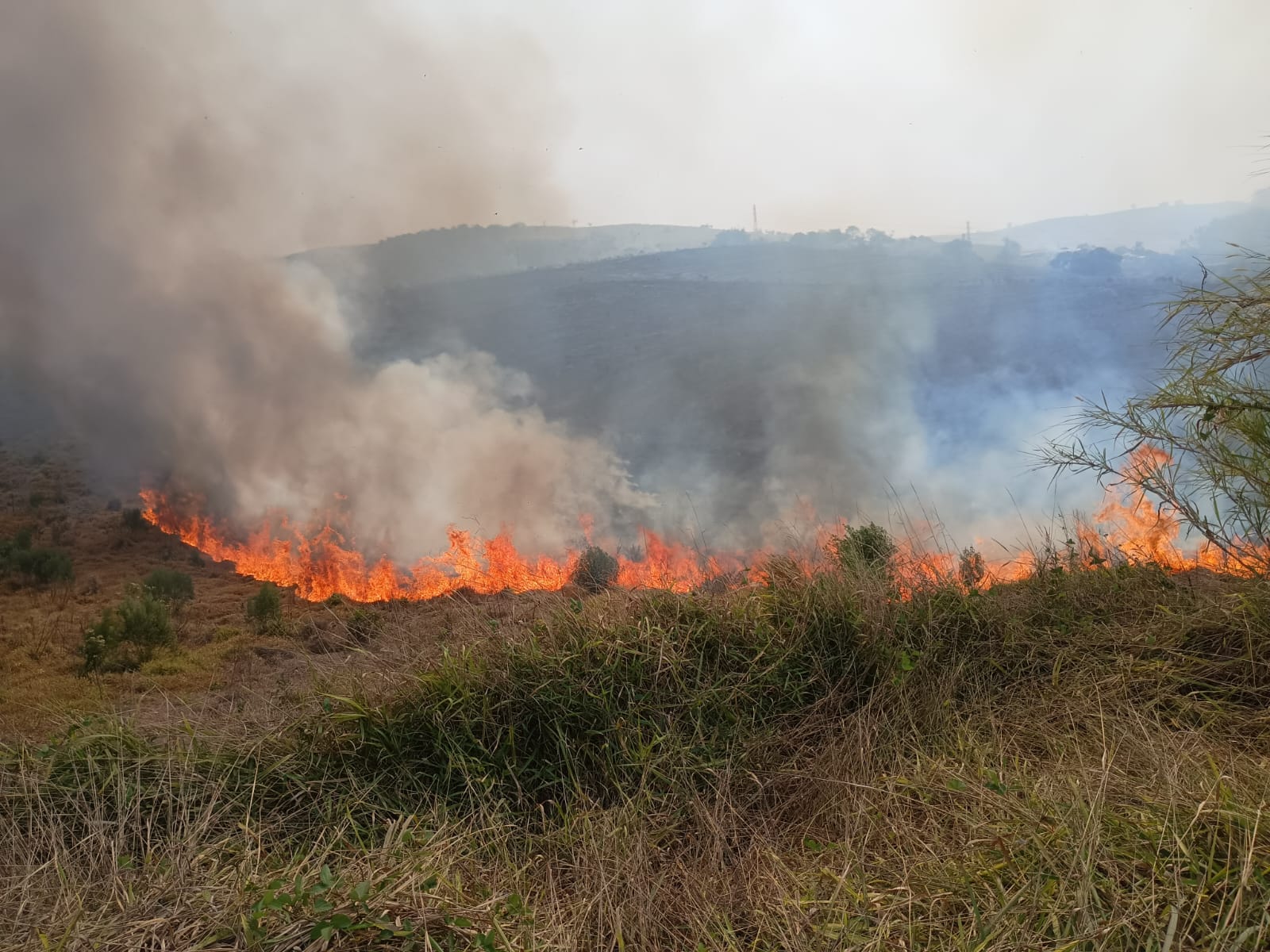 Incêndio atinge área de vegetação rasteira e consome 4 hectares em Alumínio