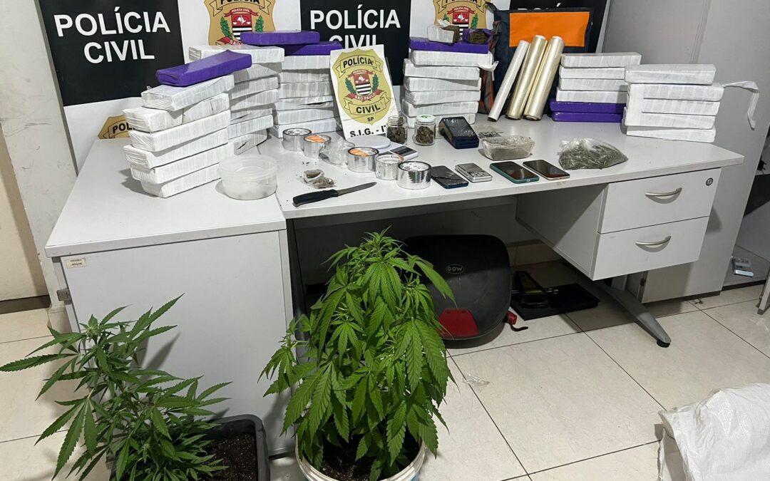 Polícia Civil apreende mais de 30 tijolos de maconha em Salto