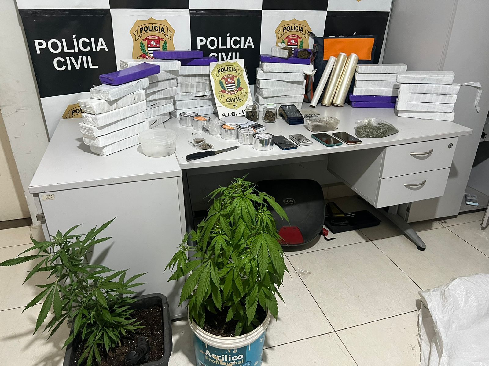 Polícia Civil apreende mais de 30 tijolos de maconha em Salto