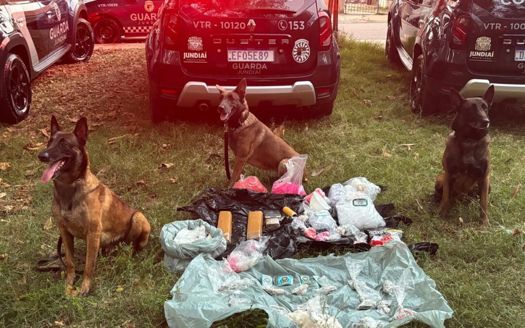 Cães da GCM de Jundiaí localizam cerca de 4,5 quilos de drogas no bairro Água Doce