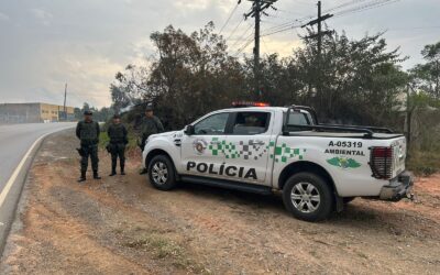 Homem é preso ateando fogo às margens de rodovia em Piedade