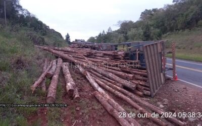 Carreta carregada de madeira tomba e interdita rodovia em Itapeva