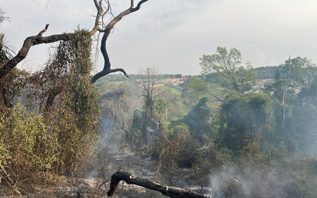 Incêndio atinge área do Santuário dos Primatas em Sorocaba