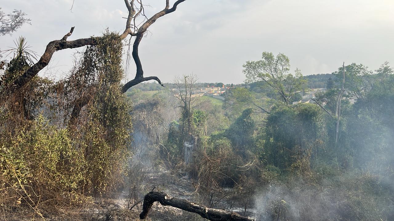 Incêndio atinge área do Santuário dos Primatas em Sorocaba