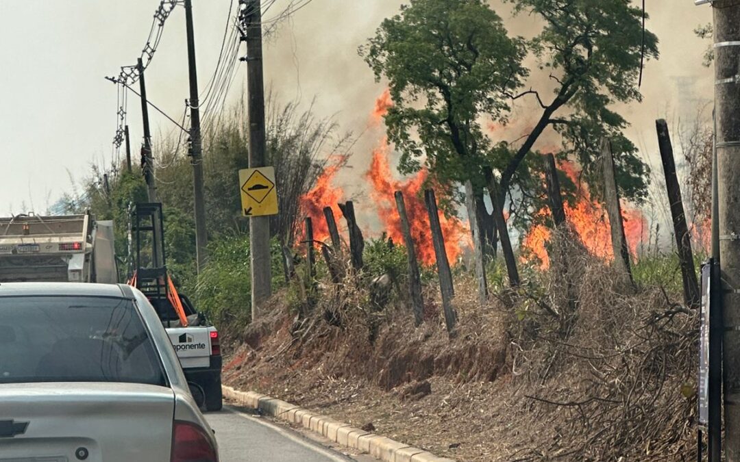 Em dia com temperaturas recordes, queimadas causam devastação na região