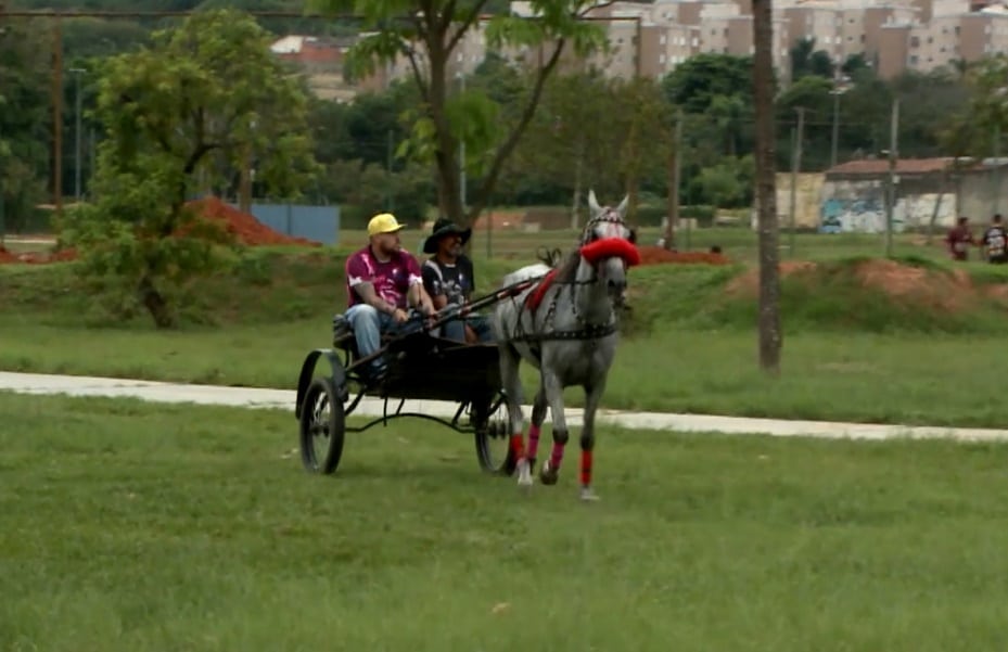 Cavalgada em Sorocaba homenageia vítima de acidente fatal com charrete