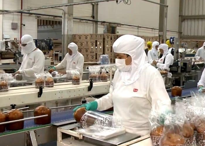 Fábrica em Várzea Paulista produz 200 mil panetones por dia