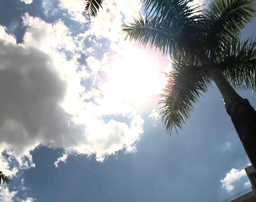 Imagem do céu com nuvens e uma árvore.