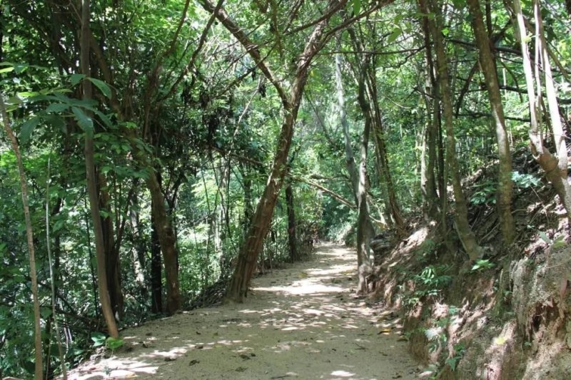 Parque do Matão, em Votorantim, fecha para manutenção neste sábado